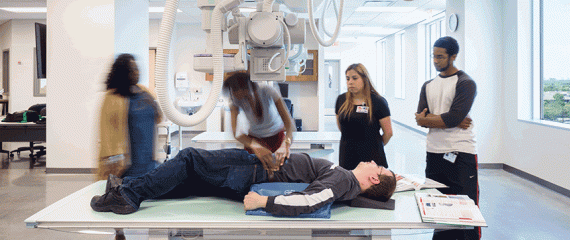 Houston Community College Health Sciences Education Students Learning on Table with Daylight