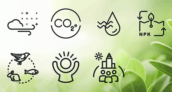 Regenerative Design Framework Icons on Leafy Green Background