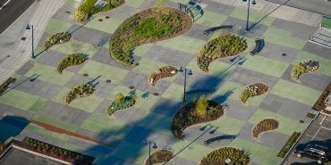 Aerial shot of Aurora Corridor in Shoreline, WA showing greenspaces, lighting and sidewalk.