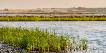 Scenic photograph of Portland Causeway Marsh Restoration project in Nueces Bay, Texas.