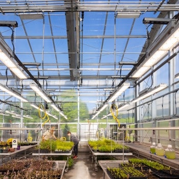 Bellevue University sustainability learning lab interior