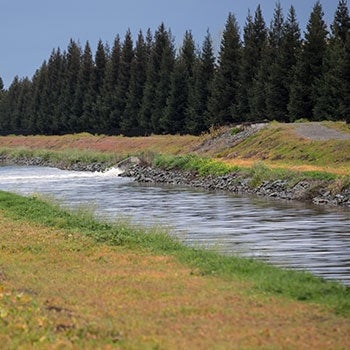 Creek | Central Valley Hydrology Study