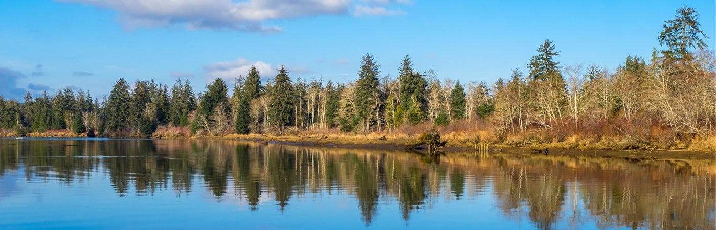 Scenic photo of Chehalis River in southwest Washington state.