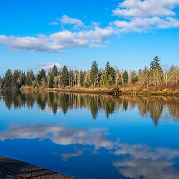 Scenic photo of Chehalis River in southwest Washington state.