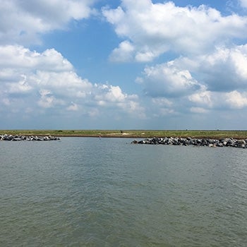 Rockefeller Wildlife Refuge Gulf Shoreline Stabilization Project 