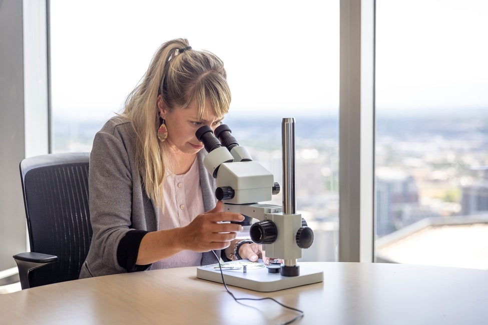 An environmental scientist looks at a sample through a microscope