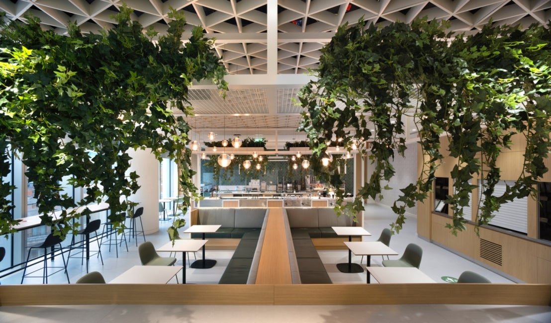 Commercial Office canteen with greenery