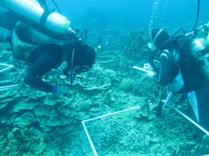 Scuba divers at Naval Base Guam