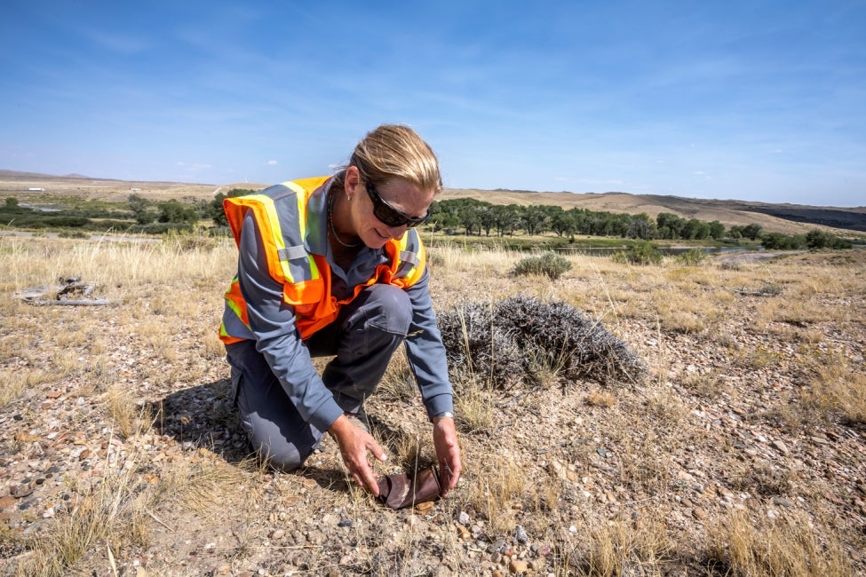 HDR employee picking up item on the ground at gateway transmission line site