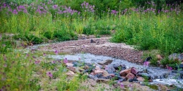 Pine Creek, Colorado Springs, Colorado