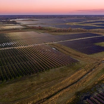 silicon ranch solar site aerial view