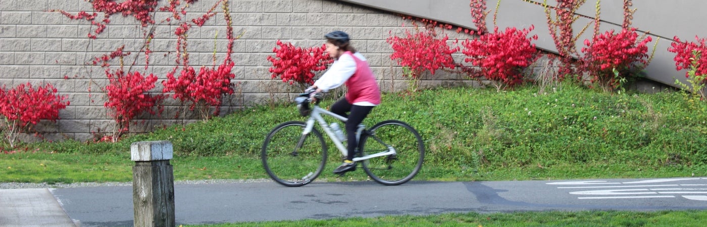 A lady rides a bike past the SR 520 Bridge