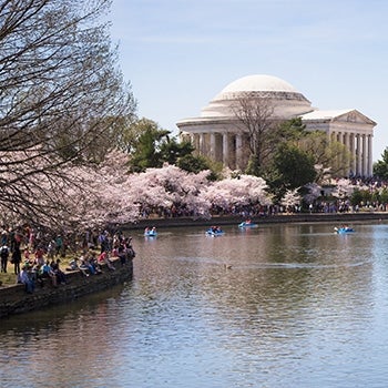 Seawall protecting national monuments at the Tidal Basin