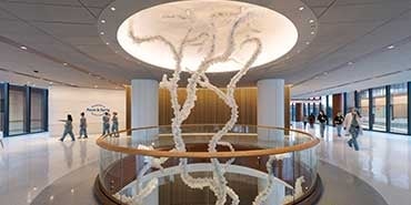 Hallway interior at the University of Pennsylvania, The Pavilion. A White tree sculpture beneath a large circular light.