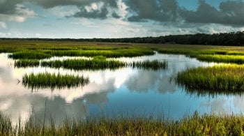 Waterway Atlantic Coast