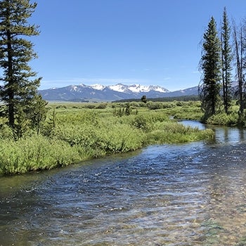 Yakima Nelson Dam Weir | Yakima Basin Integrated Water Resource Management Plan