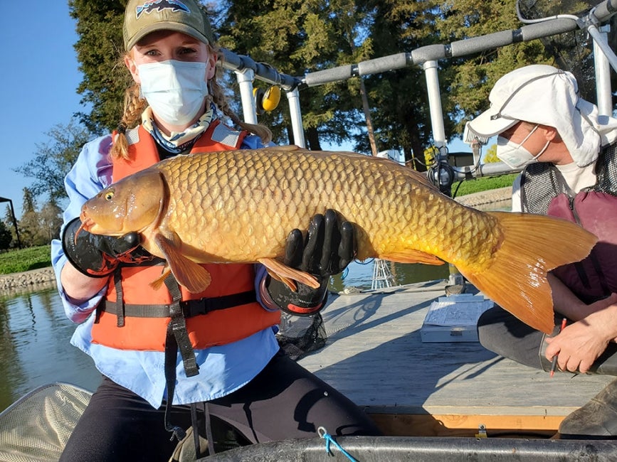 woman holding fish