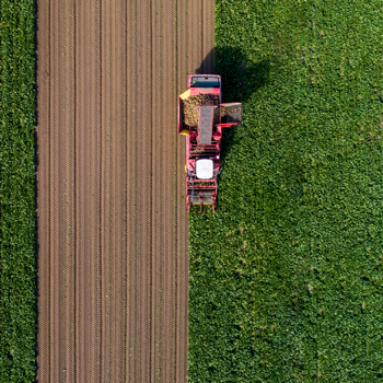 aerial view of a truck harvesting sugar beets