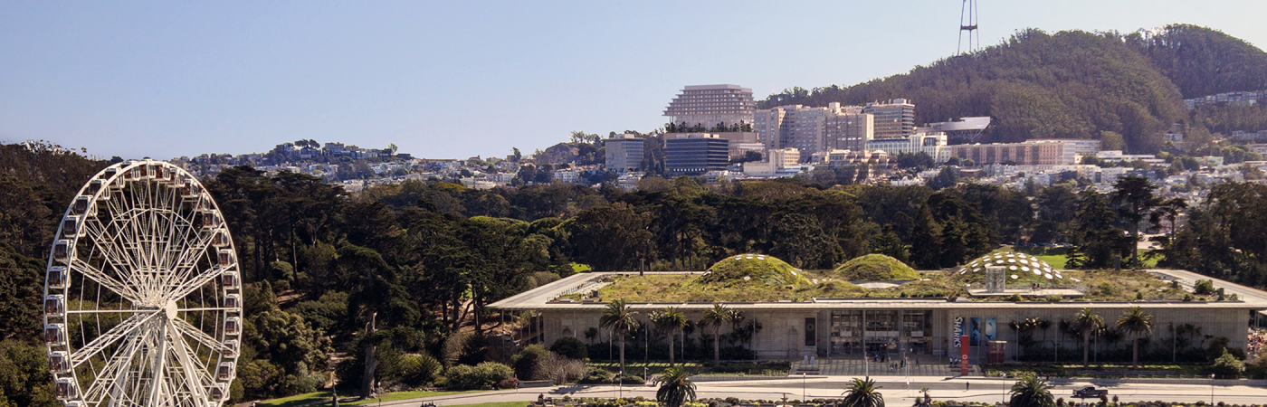 UCSF New Hospital at the Helen Diller Medical Center at Parnassus Heights View from Park and de Young Museum Rendering